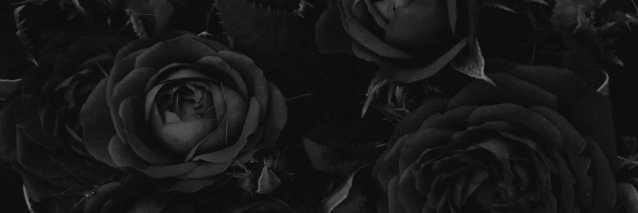 Galita🌹 banner