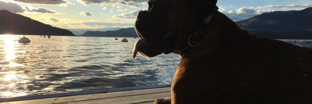 Shaylyn9's profile banner image