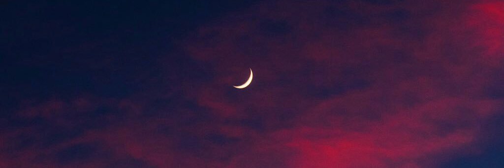 Tony_DeFreitas7's profile banner image