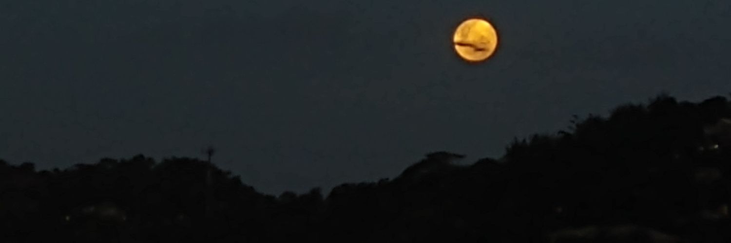 cirocsap's profile banner image