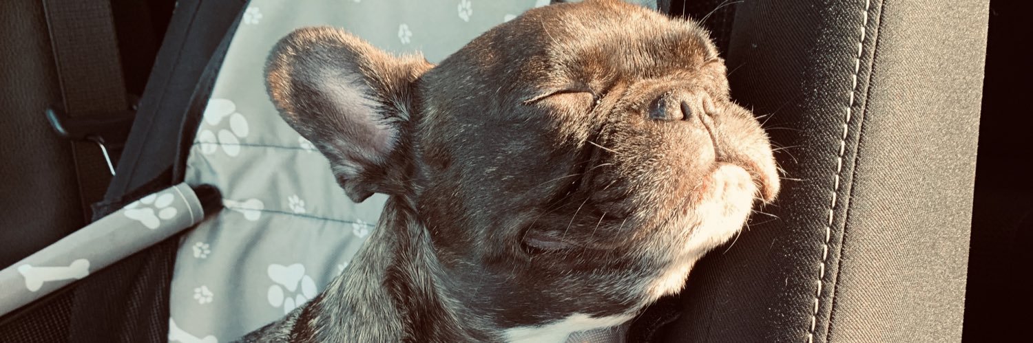 schaemarie's profile banner image
