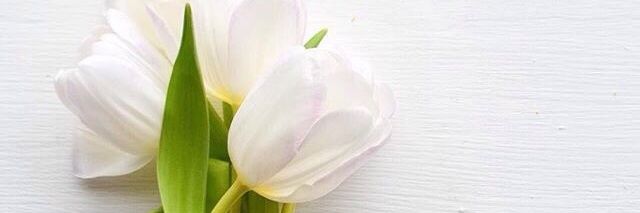 abooda_3's profile banner image