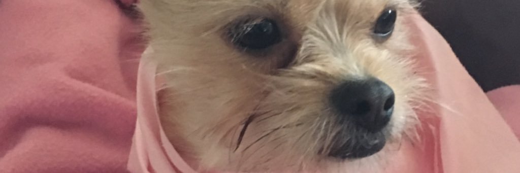 Lilnatd's profile banner image