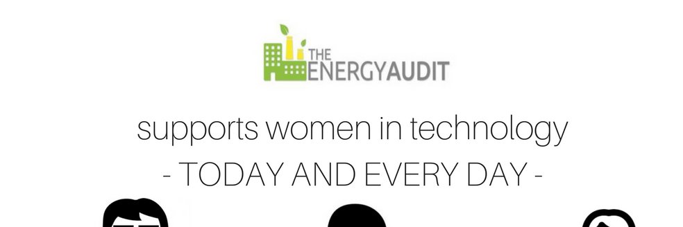 The Energy Audit banner