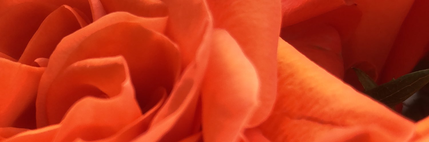 irlrenee's profile banner image