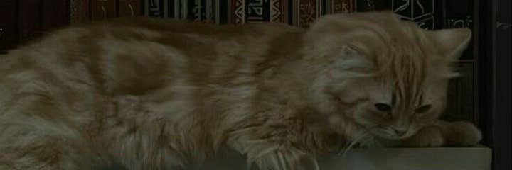 el_berbehari's profile banner image