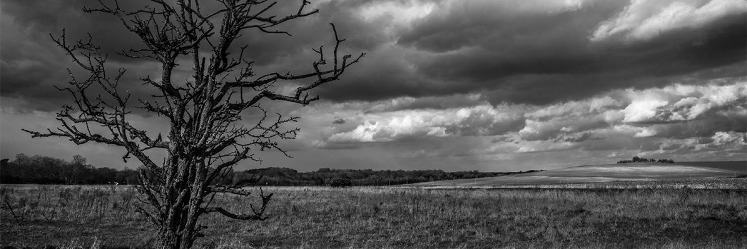 cubisphoto's profile banner image
