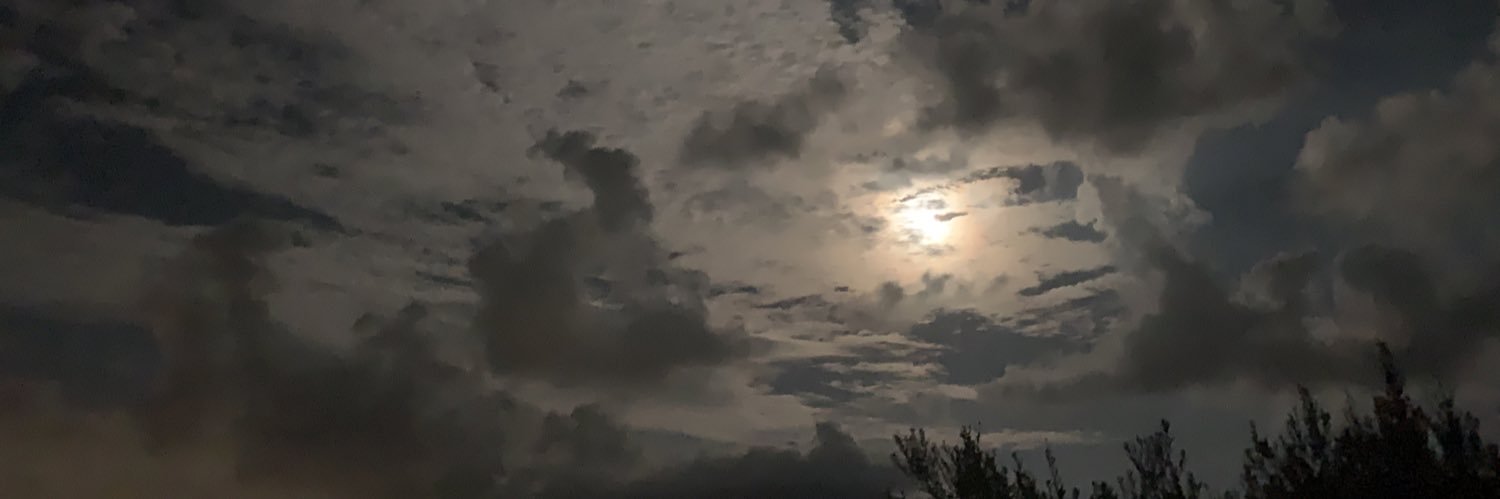 MarinaViz's profile banner image