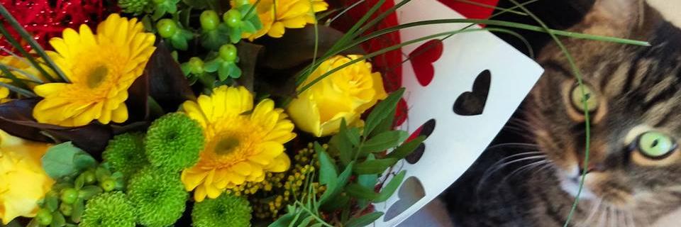 Eva Fontanals banner