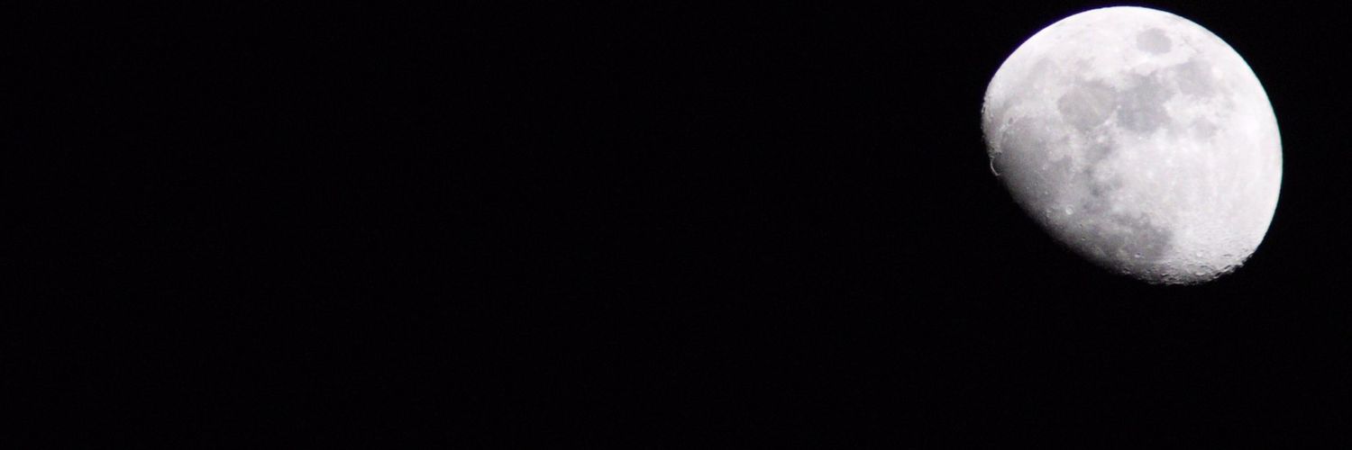 larosagia's profile banner image