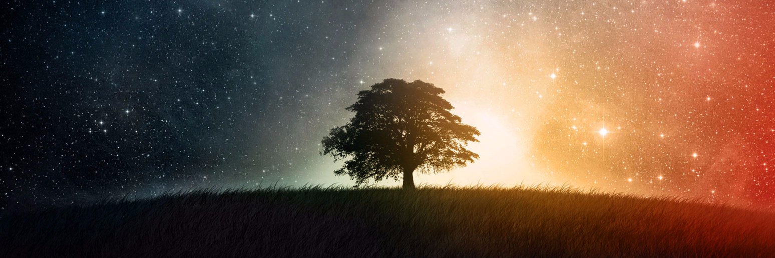 Zozoclaps's profile banner image