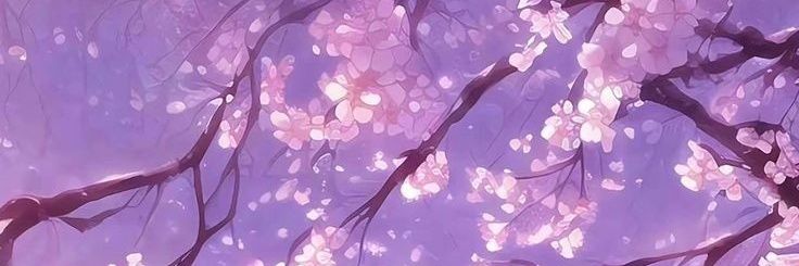 No banner