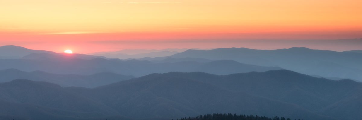 Max banner