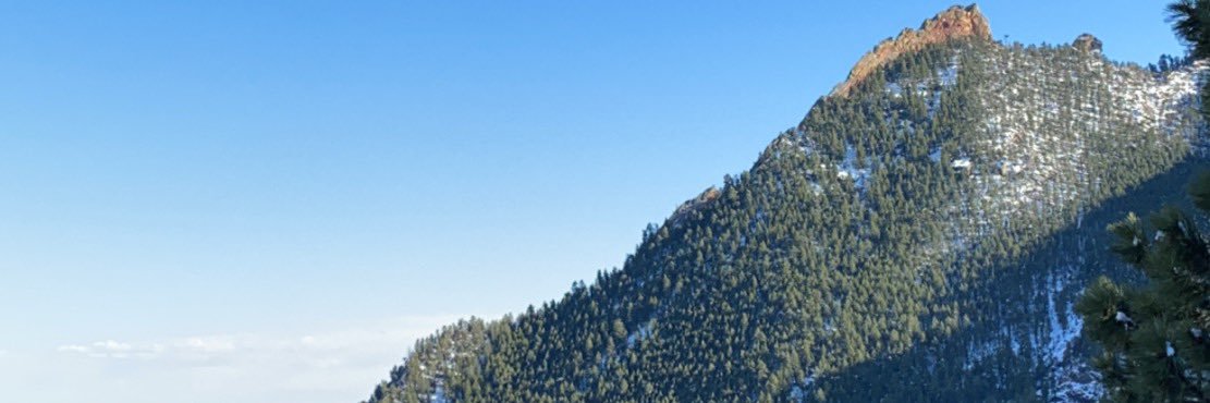 lexisharkey's profile banner image