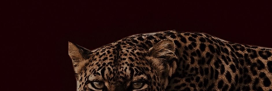 CK_A9's profile banner image