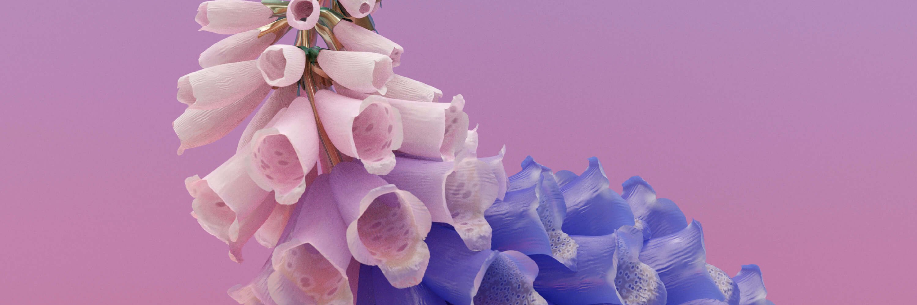 ellie_fxf's profile banner image