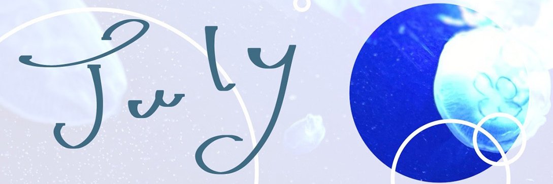 TanTan__chan__'s profile banner image