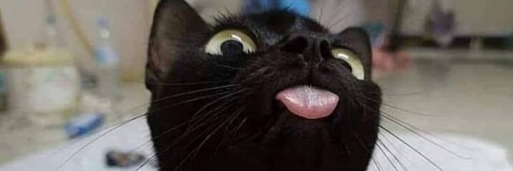 luanaprsilva's profile banner image