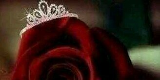abdallah5115's profile banner image