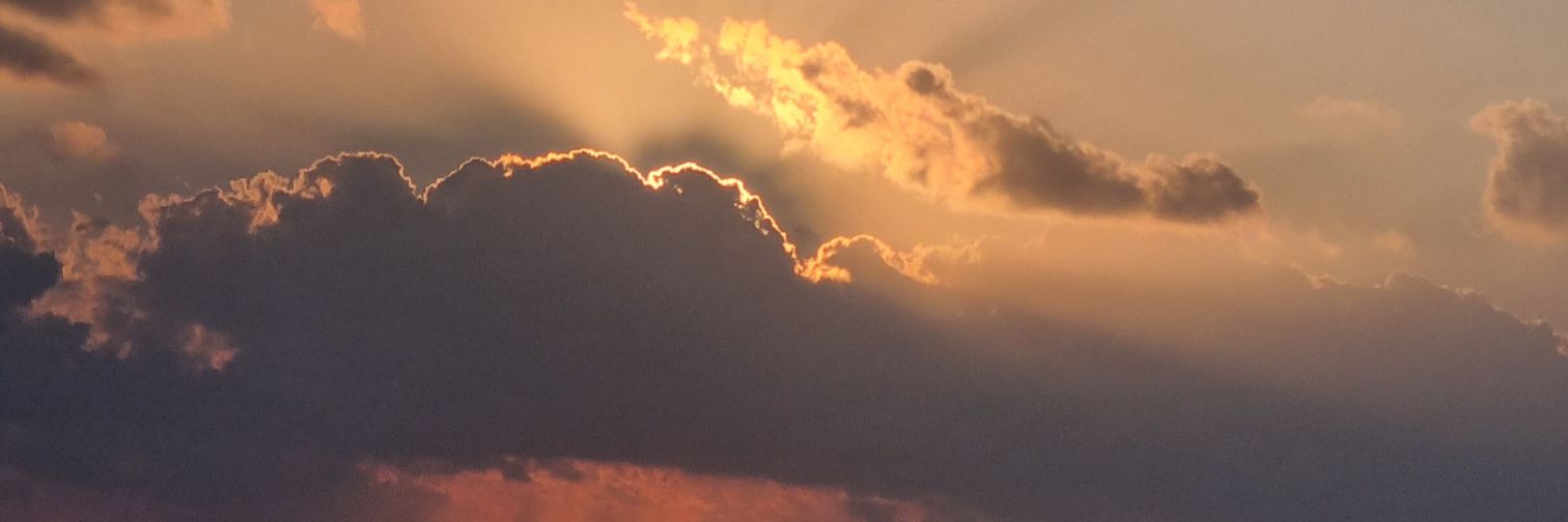 MegSalv98's profile banner image