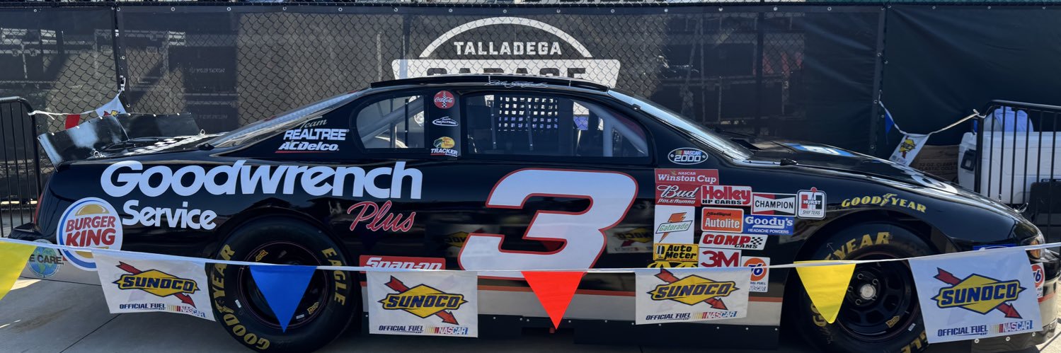 Al Johnson banner