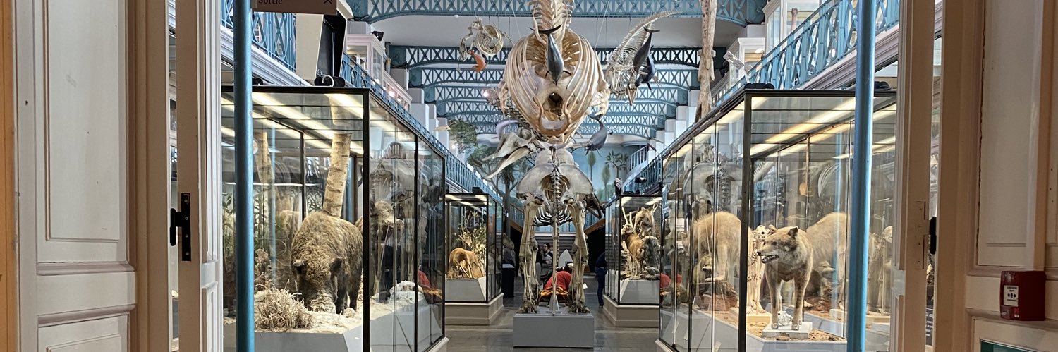 valérie dv ☀️ banner