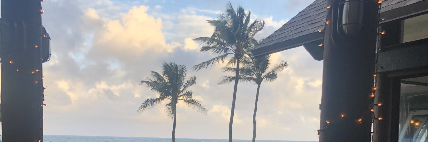 Alexia Strmota banner