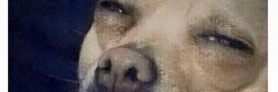 Young_Based_Rob's profile banner image