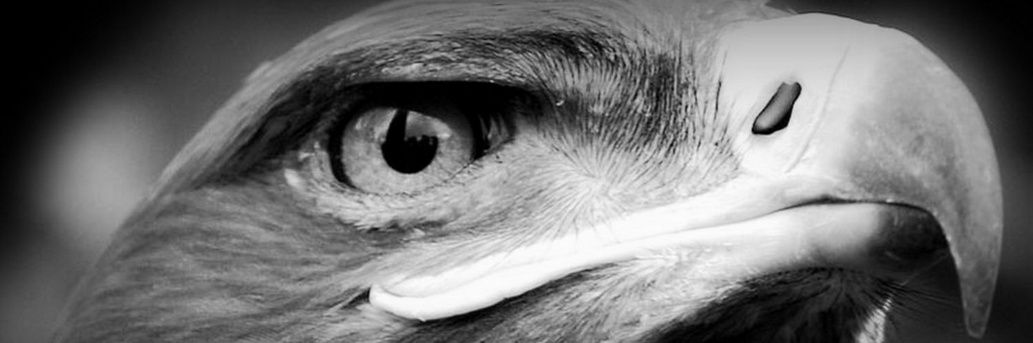 Denizyny's profile banner image