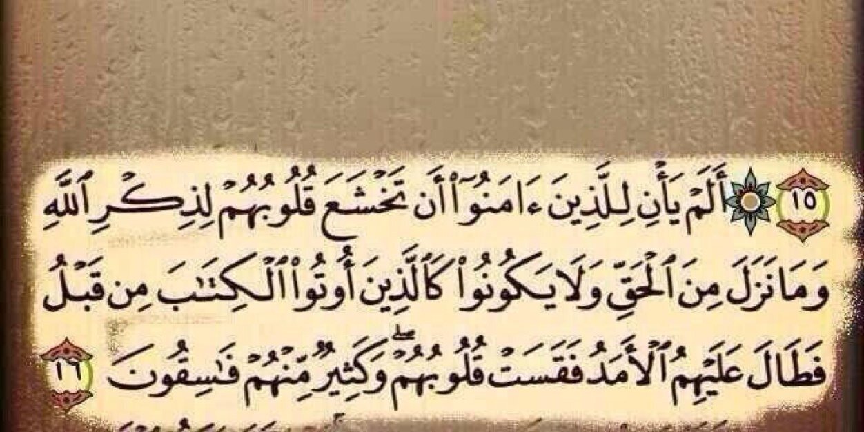 17_maher's profile banner image
