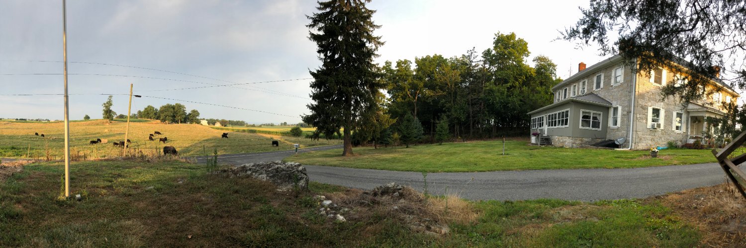 Ted Williams Zeigler banner