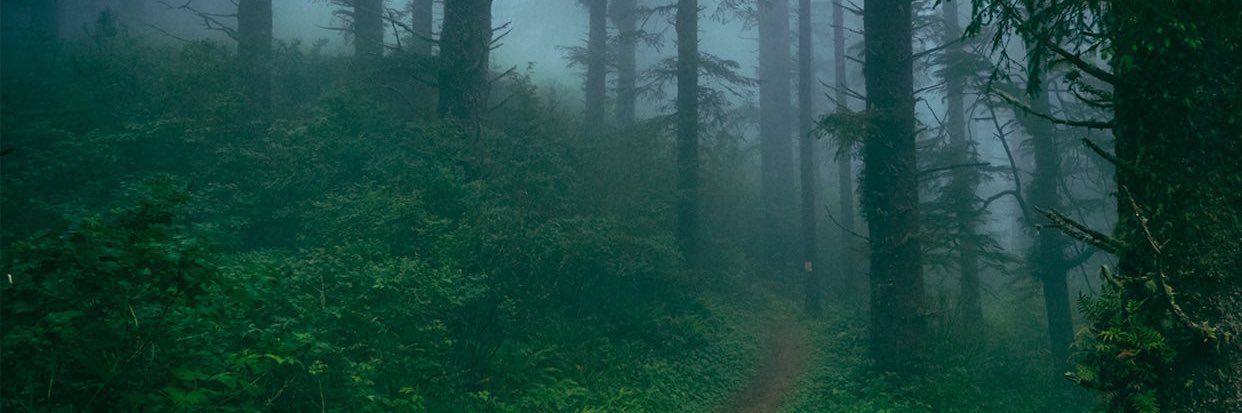 AdventureVon's profile banner image