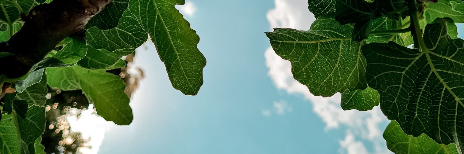 leticialustosaa's profile banner image
