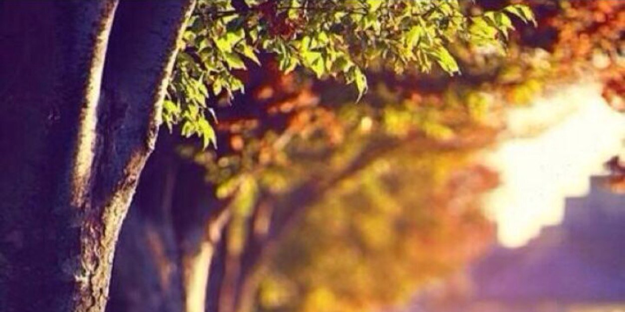 Tee7s's profile banner image