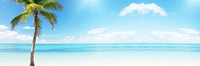 Hector Romero banner