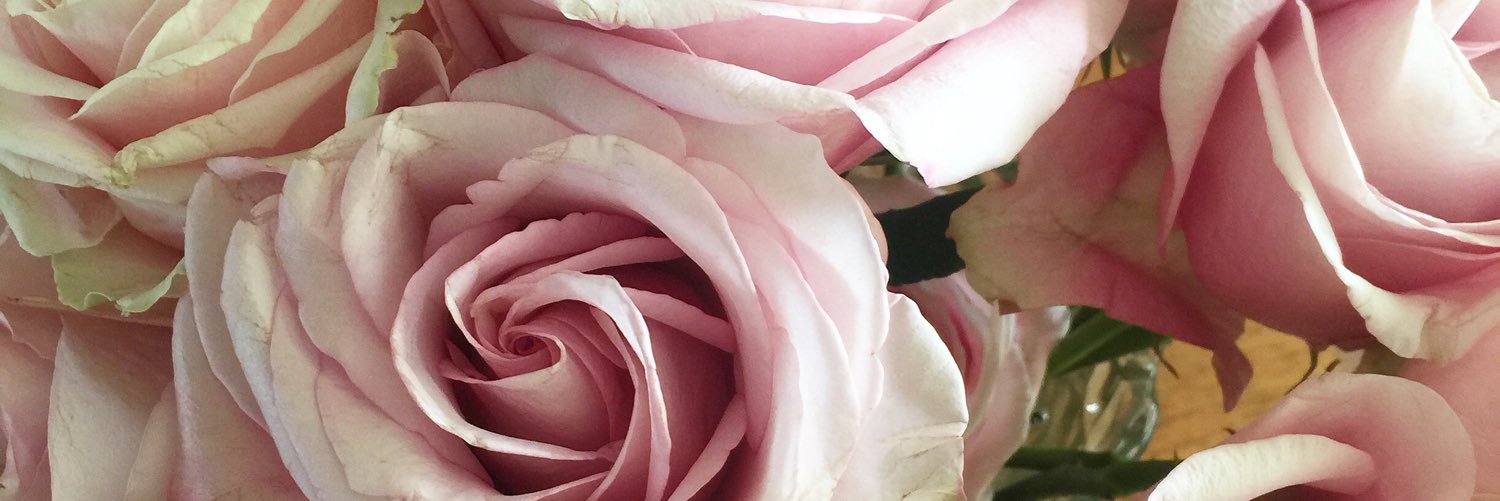 danni_christina's profile banner image