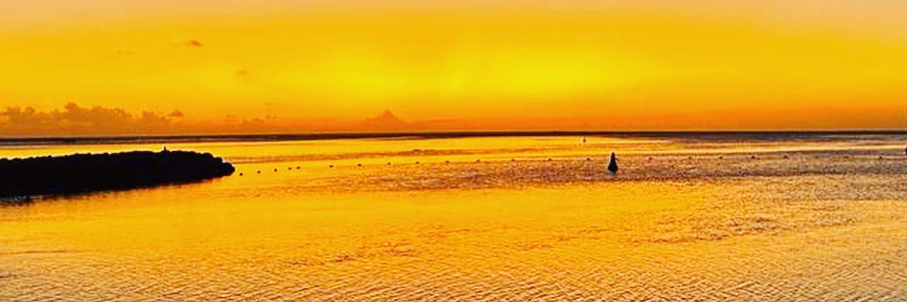 Dianeh2702's profile banner image