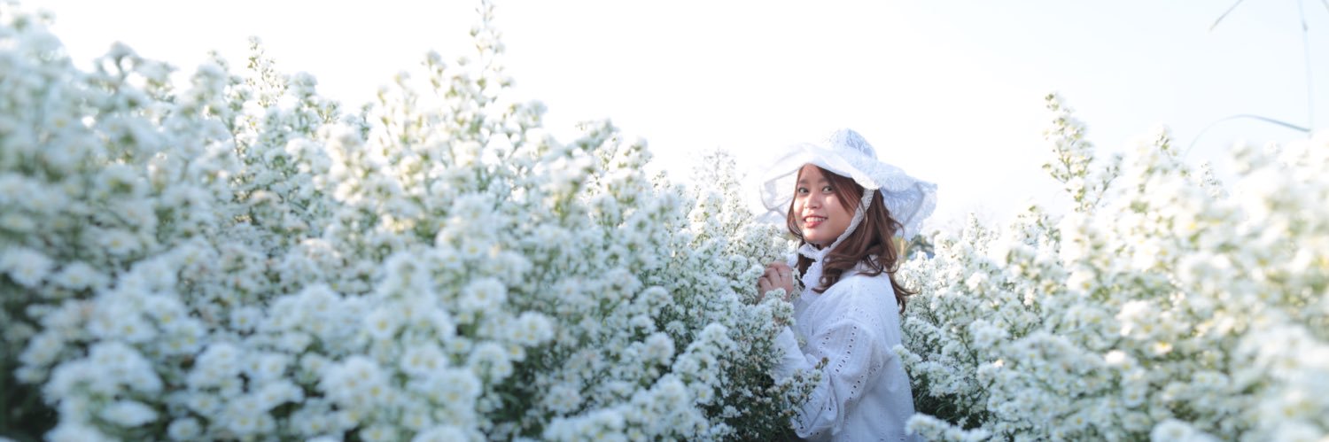 sinesy's profile banner image