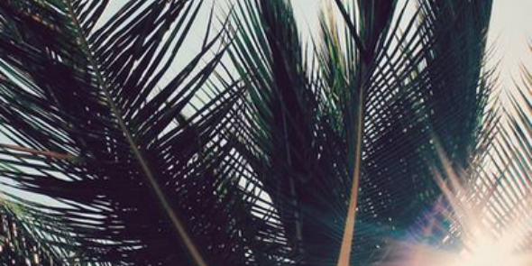 kath_vdb's profile banner image