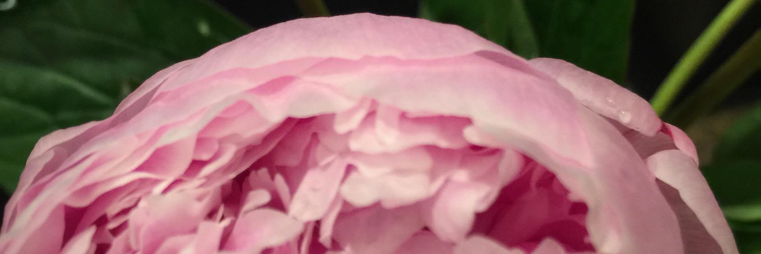 em_thompson17's profile banner image