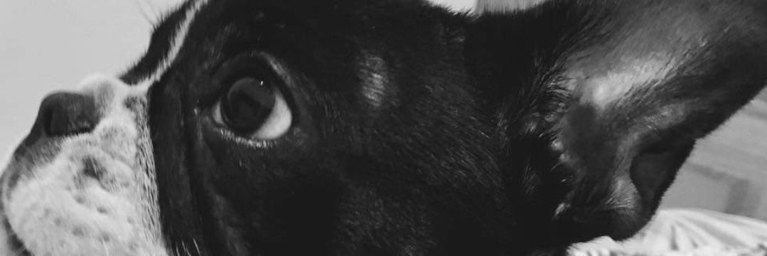 Raul95_'s profile banner image