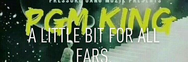 PgmKing Profile Banner