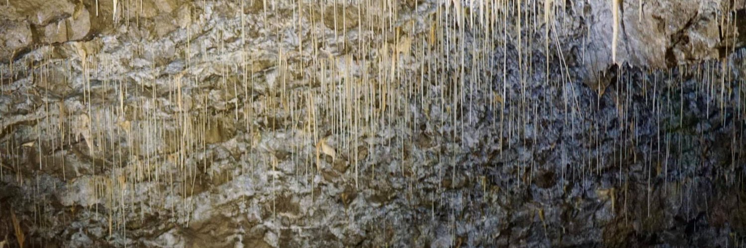 Caver Gracie banner