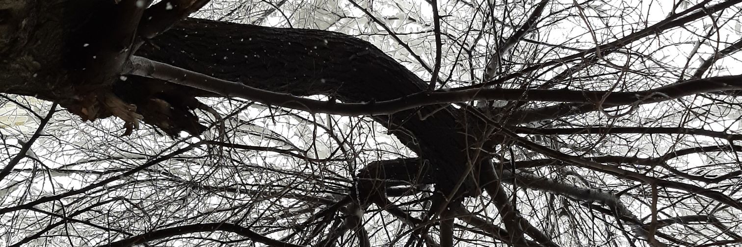 1984farman's profile banner image