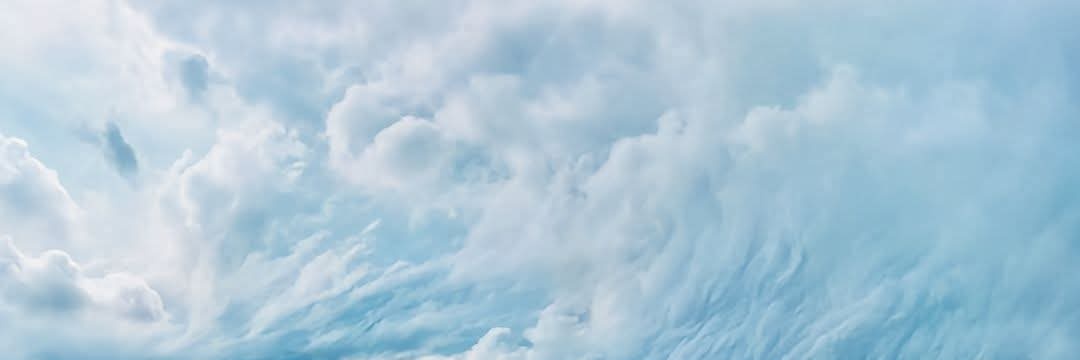 𝓦𝓐𝓛𝓔𝓔𝓓 banner