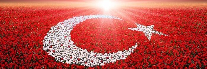 75Fsun's profile banner image