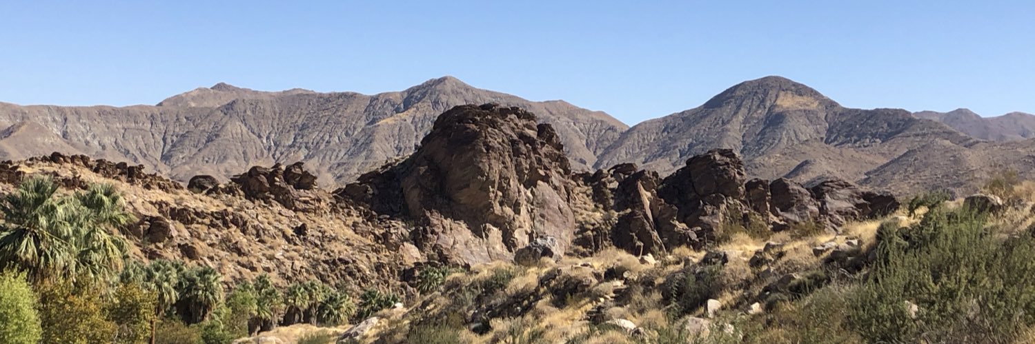 Deb Lawlor (she/her) banner