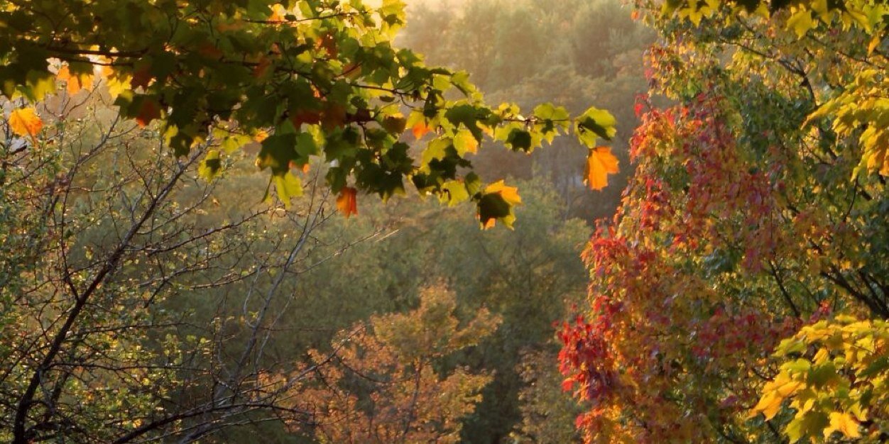 mutluson14's profile banner image