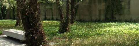 JuliaElsky's profile banner image
