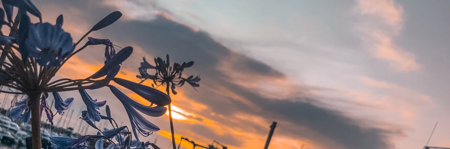fifiprivee's profile banner image